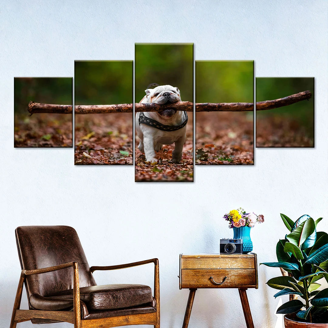 5 Piece Canvas 24" x 50" (60x125cm)