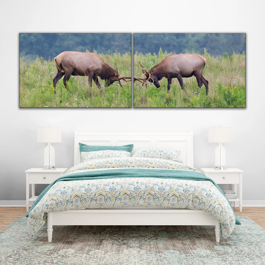 16" x 48" (40x120cm) 2 Piece Landscape Canvas