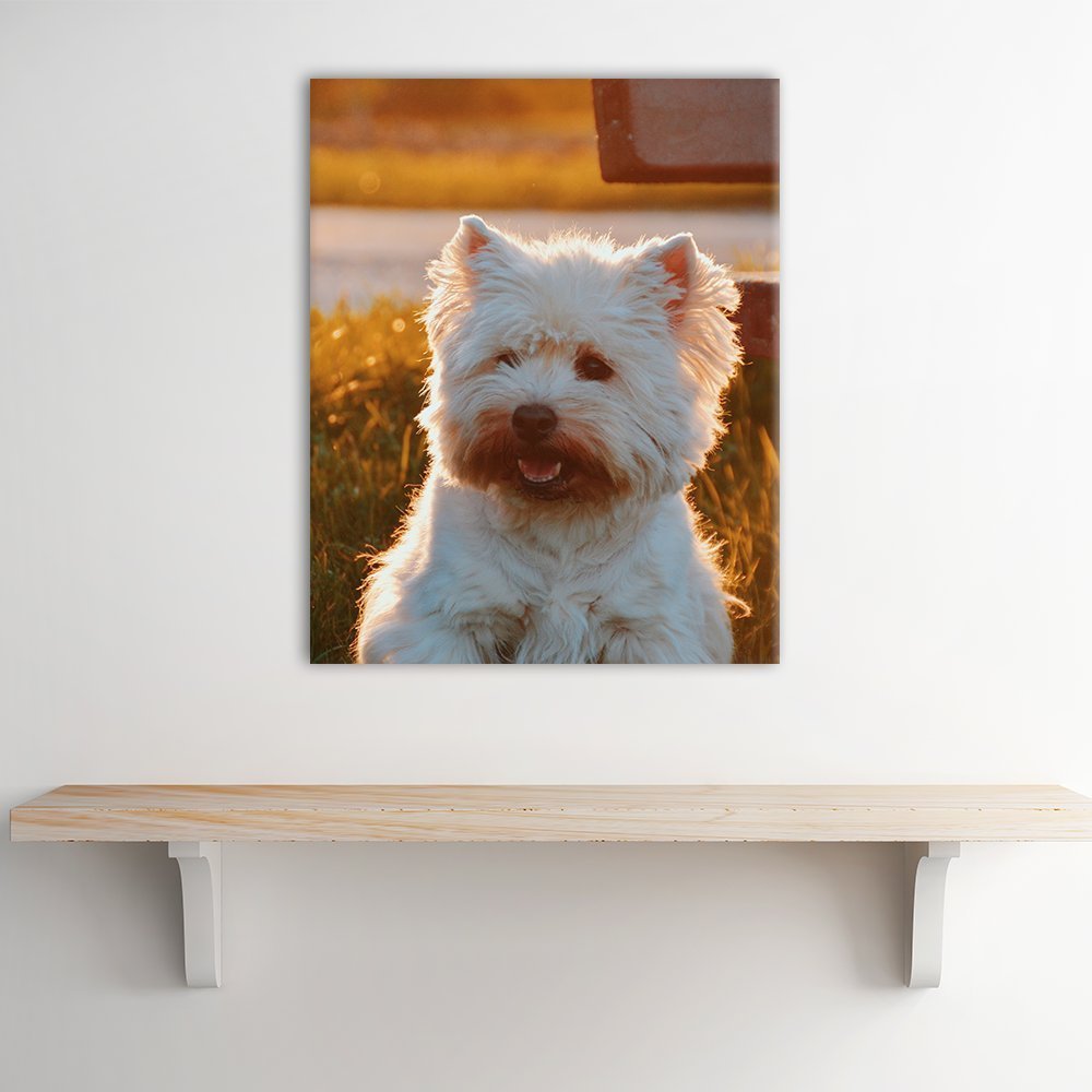 Print Your Pet Dog Cat Horse 's Photo On Canvas Prints Personalised Photo to Canvas Print Wall Art - Canvas Print Sale