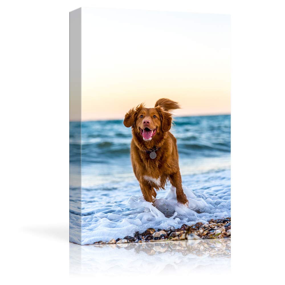 Print Your Pet Dog Cat Horse 's Photo On Canvas Prints Personalised Photo to Canvas Print Wall Art - Canvas Print Sale