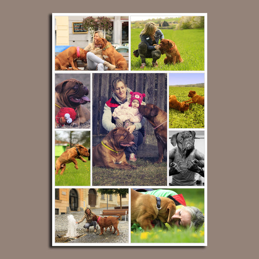 9 Photo Collage Canvas Portrait - Canvas Print Sale