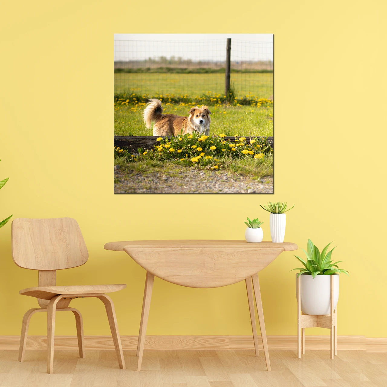 20" x 20" (50x50cm) Square Canvas