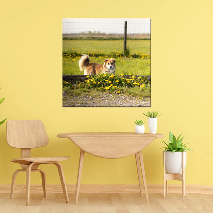 20" x 20" (50x50cm) Square Canvas