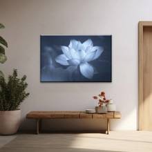 Load image into Gallery viewer, Grayscale Photo Of Aquatic Plant Sacred Lotus Wall Canvas Art