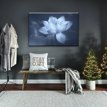 Load image into Gallery viewer, Grayscale Photo Of Aquatic Plant Sacred Lotus Wall Canvas Art