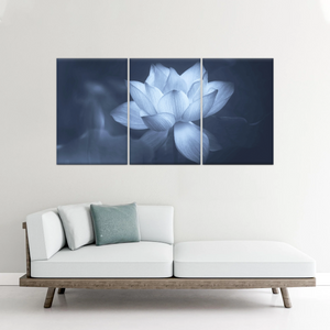 Grayscale Photo Of Aquatic Plant Sacred Lotus Wall Canvas Art