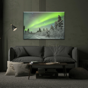 Green Aurora Phenomenon In Freezing Winter Photo Prints Canvas