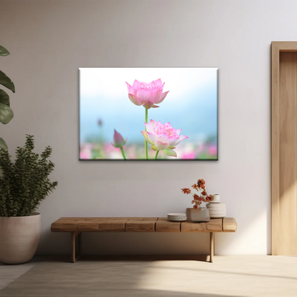 Pink And White Lotus Petaled Flowers Wall Art Framed