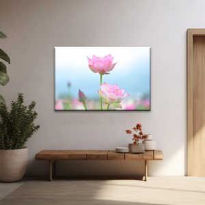 Pink And White Lotus Petaled Flowers Wall Art Framed