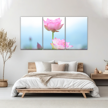 Pink And White Lotus Petaled Flowers Wall Art Framed