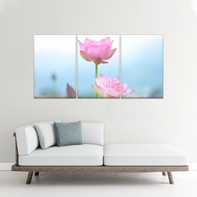 Load image into Gallery viewer, Pink And White Lotus Petaled Flowers Wall Art Framed