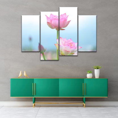 Pink And White Lotus Petaled Flowers Wall Art Framed