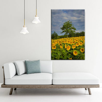 12" x 8" (30x20cm) Portrait Canvas