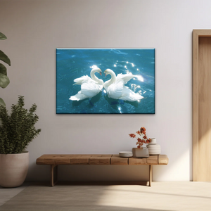 Swans Love Between Blue Water Art Prints on Canvas