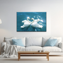 Load image into Gallery viewer, Swans Love Between Blue Water Art Prints on Canvas