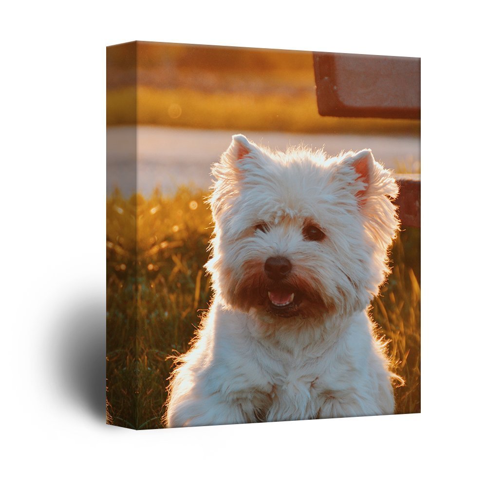 Personalised Photo to Canvas Print Wall Art Custom Your Photo On Canvas Wall Art - Canvas Print Sale