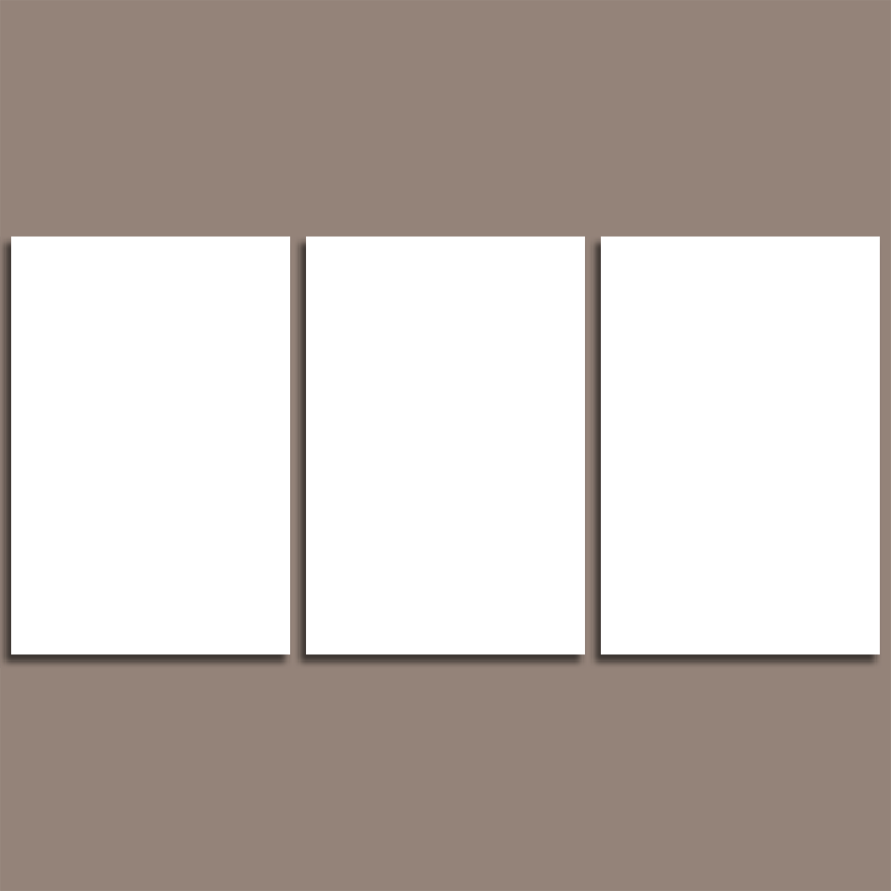 3 Photo Collage Canvas In 3 Pieces - Canvas Print Sale