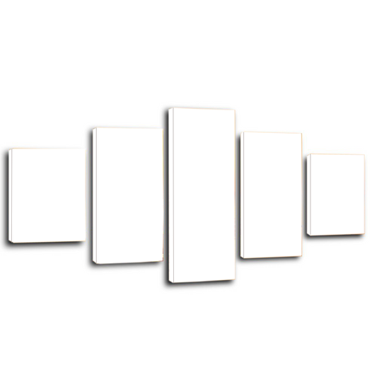 5 Panels Canvas Prints White - Canvas Print Sale