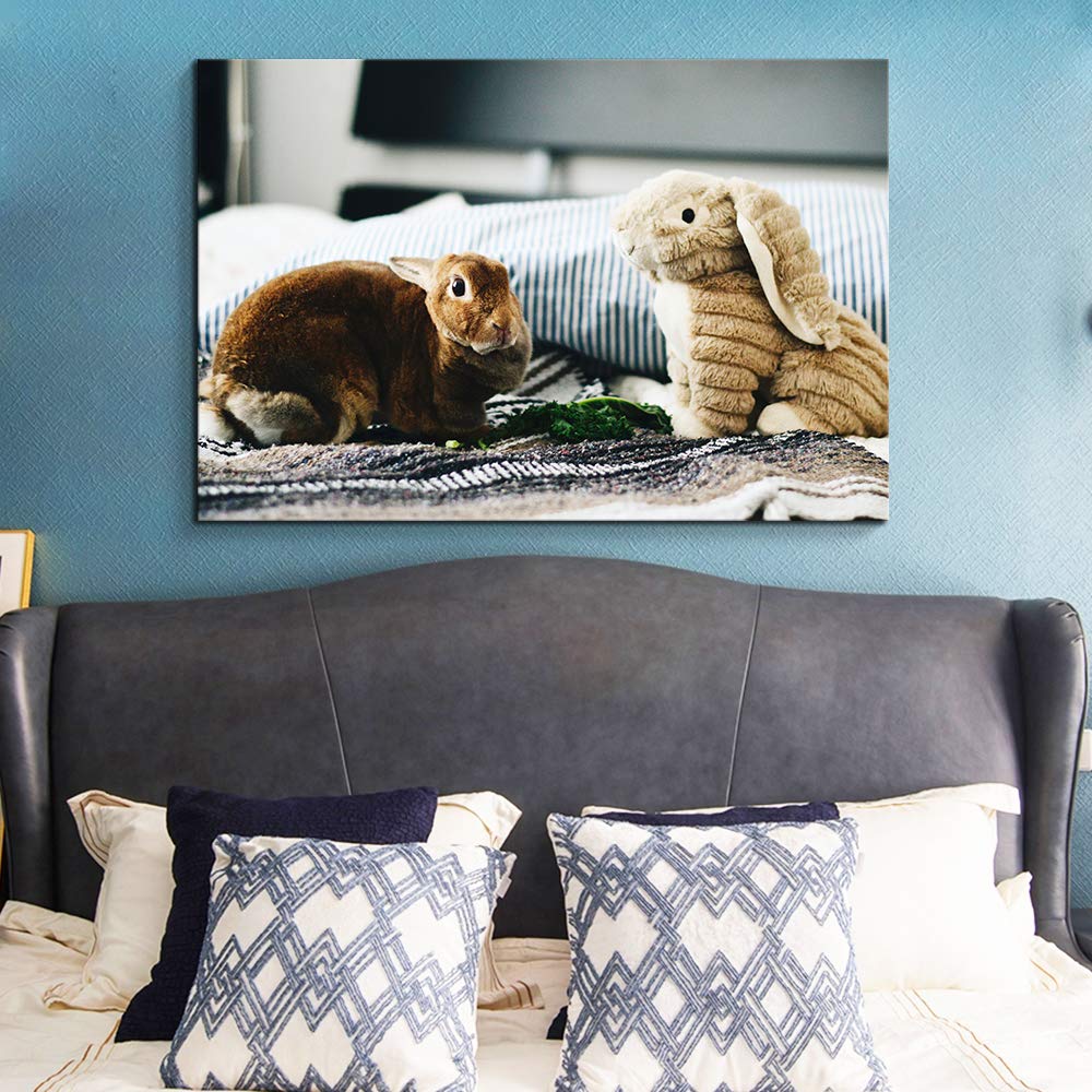 Custom Canvas Prints with Your Own Photos for Pet/Animal Personalised Canvas Wall Art - Canvas Print Sale