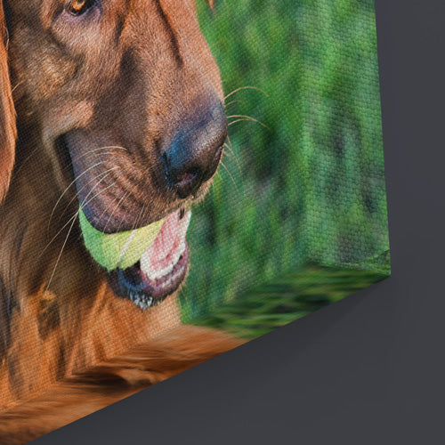 Extra Money Offer - Canvas Print Sale