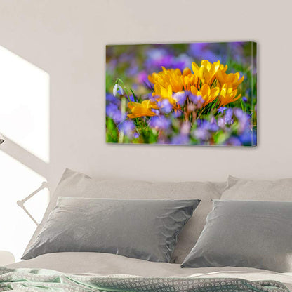 Crocus Flower Blossom Yellow Bloom Flora Canvas Prints Wall Art Home Decor - Canvas Print Sale