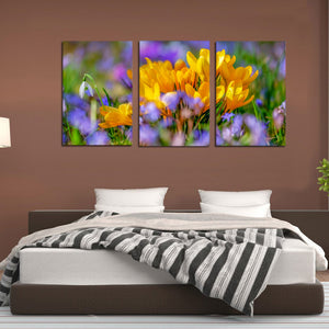 Crocus Flower Blossom Yellow Bloom Flora Canvas Prints Wall Art Home Decor - Canvas Print Sale
