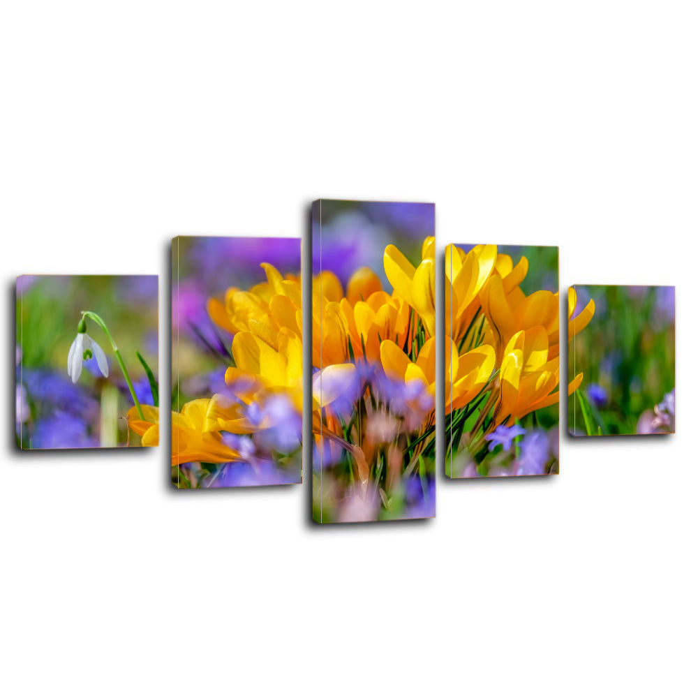 Crocus Flower Blossom Yellow Bloom Flora Canvas Prints Wall Art Home Decor - Canvas Print Sale