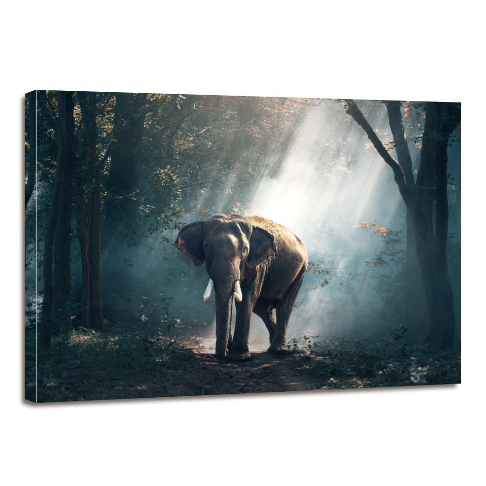 Forest Elephant Animals Large Mammal Canvas Prints Home Decor Wall Art - Canvas Print Sale