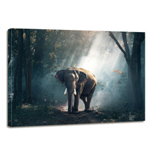 Load image into Gallery viewer, Forest Elephant Animals Large Mammal Canvas Prints Home Decor Wall Art - Canvas Print Sale
