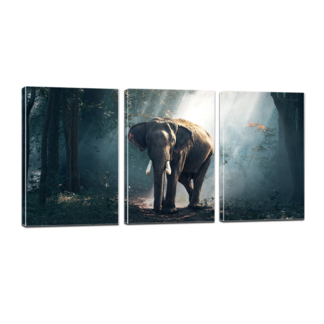 Forest Elephant Animals Large Mammal Canvas Prints Home Decor Wall Art - Canvas Print Sale