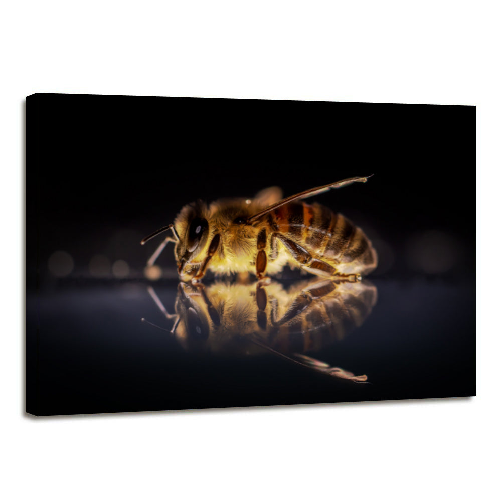 Honey Bee Canvas Prints Home Decor Wall Art - Canvas Print Sale