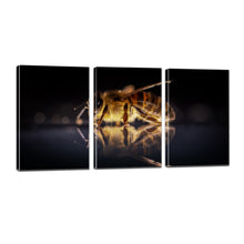 Load image into Gallery viewer, Honey Bee Canvas Prints Home Decor Wall Art - Canvas Print Sale