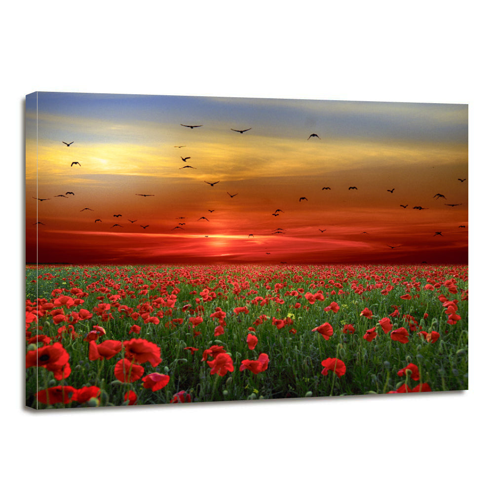 Poppies Flowers Sunset Sky Clouds Birds Canvas Prints Wall Art Home Decor - Canvas Print Sale