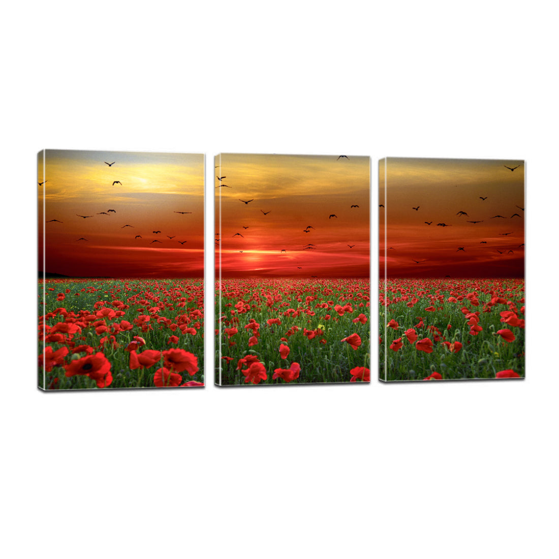 Poppies Flowers Sunset Sky Clouds Birds Canvas Prints Wall Art Home Decor - Canvas Print Sale