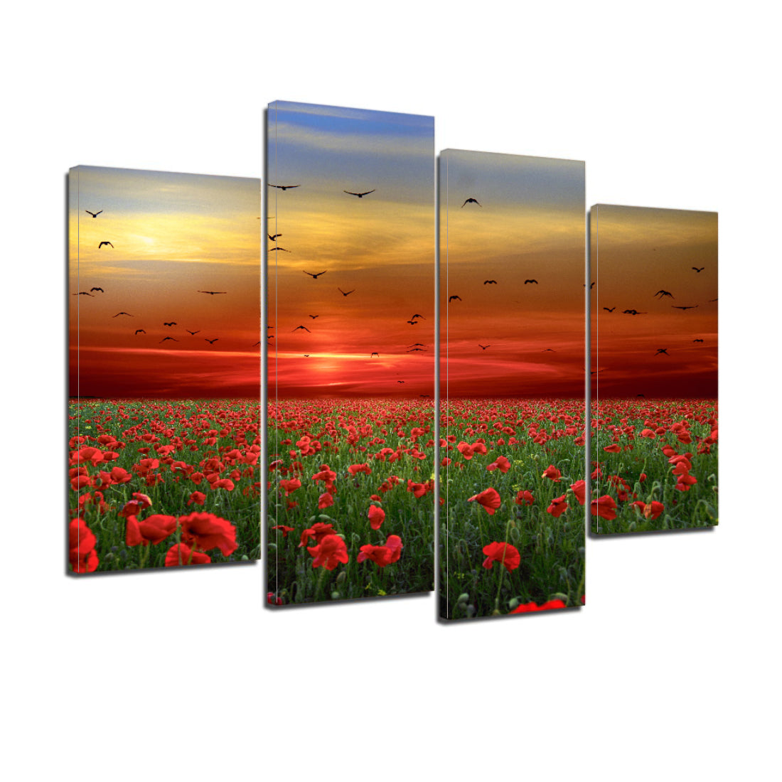 Poppies Flowers Sunset Sky Clouds Birds Canvas Prints Wall Art Home Decor - Canvas Print Sale