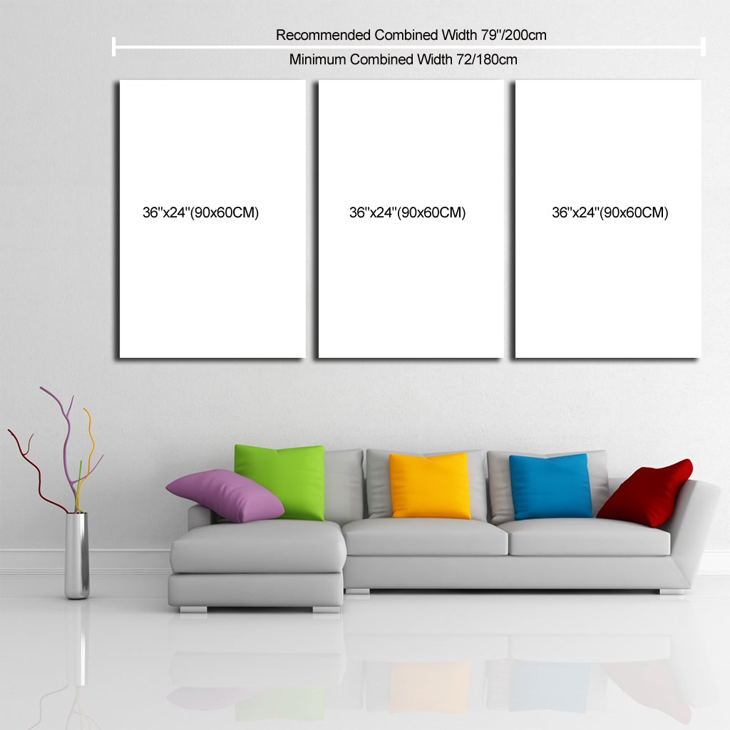 3 Piece Canvas 36" x 72" (90x180cm) - Canvas Print Sale