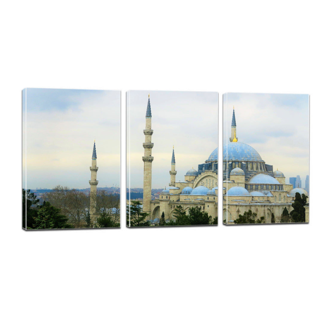 Istanbul Cami Islam Turkey Dome City Canvas Prints Wall Art Home Decor - Canvas Print Sale
